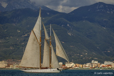 Viareggio vele storiche530