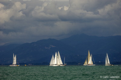 Viareggio vele storiche548