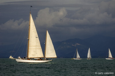 Viareggio vele storiche550