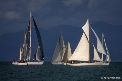 Viareggio vele storiche554