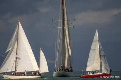 Viareggio vele storiche561