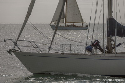 Viareggio vele storiche580