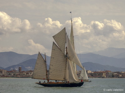 Viareggio vele storiche613