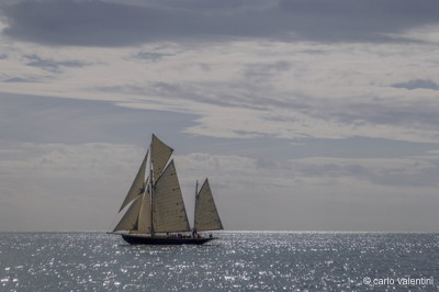 Viareggio vele storiche660