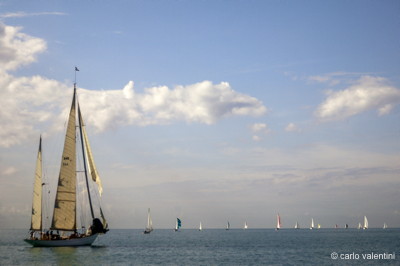 Viareggio vele storiche677