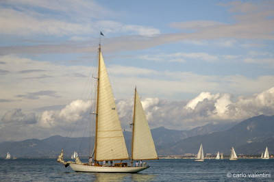 Viareggio vele storiche679