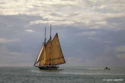 Viareggio vele storiche681