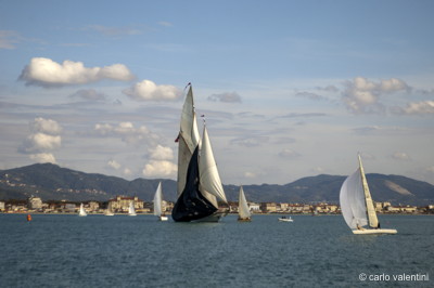 Viareggio vele storiche688