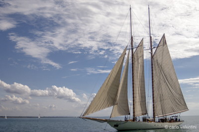 Viareggio vele storiche703