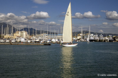 Viareggio vele storiche714